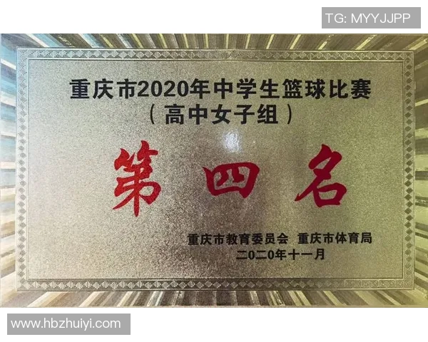 重庆篮球队运营分析:成功经验与失误教训的深度剖析 重庆篮球队运营分析:成功经验与失误教训的深度剖析